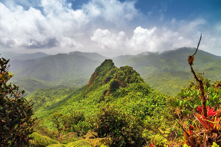 Half Day Adventure Private Tour in El Yunque Rainforest - Photo 1 of 6